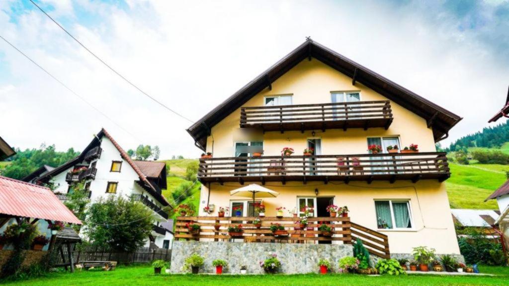Casa Anastasia - Moieciu De Sus Moeciu De Sus Exterior photo